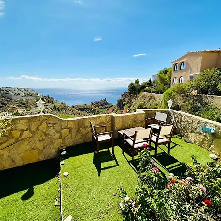 Camelia * בניטאצ'ל