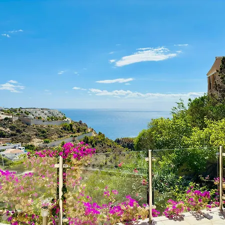 Camelia בניטאצ'ל