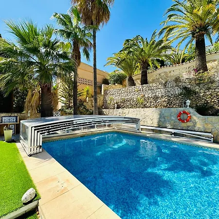 Camelia * בניטאצ'ל