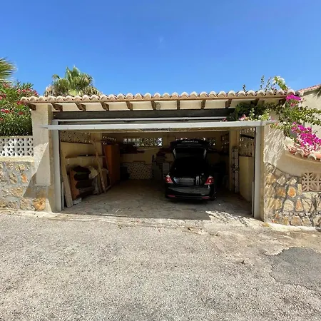 Camelia * בניטאצ'ל