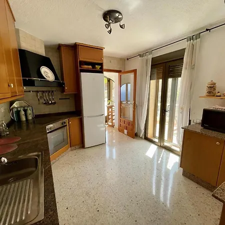 Camelia * בניטאצ'ל