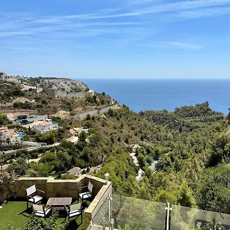 Camelia בניטאצ'ל